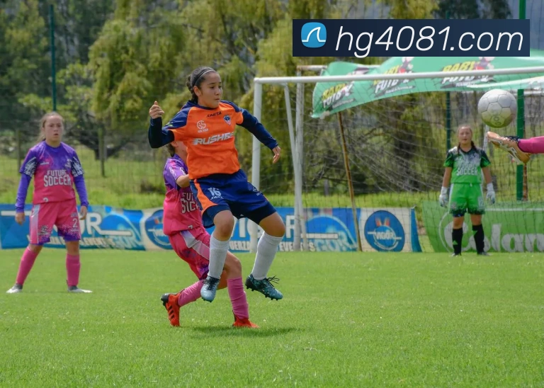 皇冠体育网站入口发展历程